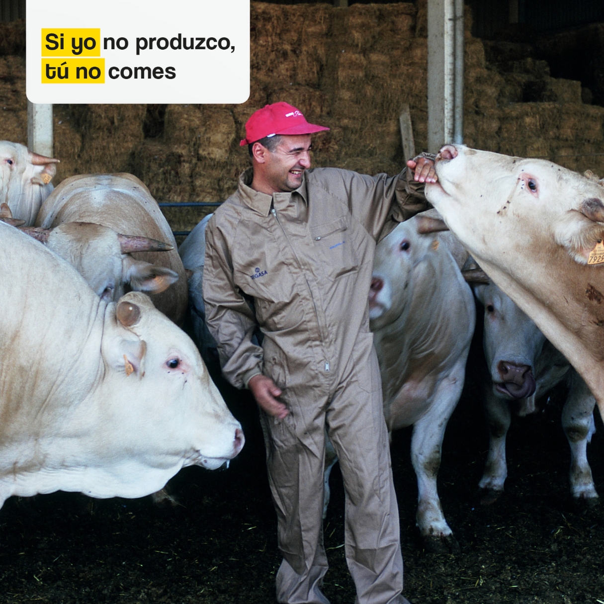 Productores de alimentos